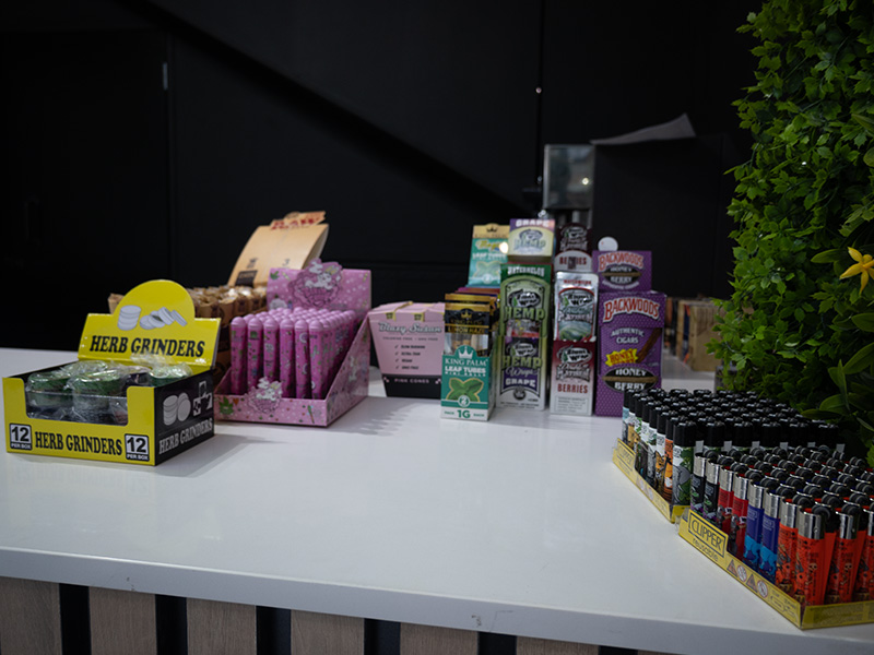 Co-working space with high-speed WiFi and modern amenities